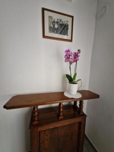 Fotografie z fotogalerie ubytování Apartma Ježevi v destinaci Sežana