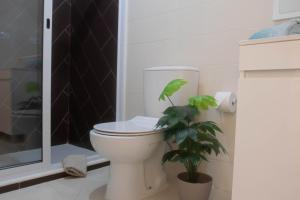 a bathroom with a toilet and a potted plant at Beauty Plaza Apartaments in Santa Maria
