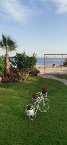 Gallery image of Sea breeze 2 in Limenaria