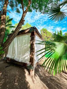 クエンカにあるHotel Rural Victoria by Bossh! Hotelsの木陰に建つ小さな小屋