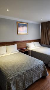 a hotel room with two beds and a picture on the wall at Hotel Don Simón in Toluca