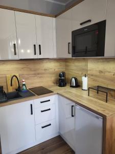 Kuchyň nebo kuchyňský kout v ubytování Z Widokiem Apartamenty - apartamenty z widokiem na góry i zewnętrzną balią