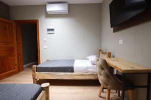TV a/nebo společenská místnost v ubytování Hotel Ikona