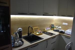 Kuchyň nebo kuchyňský kout v ubytování Apartman Gorsky