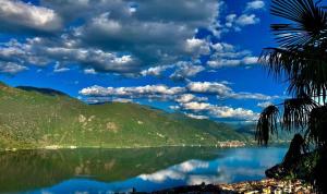 a view of a lake with a palm tree and mountains at Villa Diomira in Cannobio