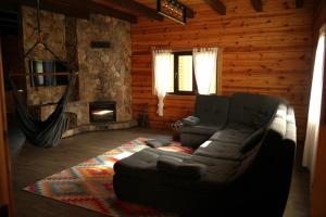 普拉韦Тіні Предків的带沙发和壁炉的客厅