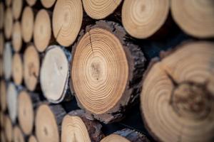 a pile of wooden logs in a room at HIRSCH Stadt Apartment 1 - Terrasse mit Flussblick - Parkplatz in Bad Harzburg
