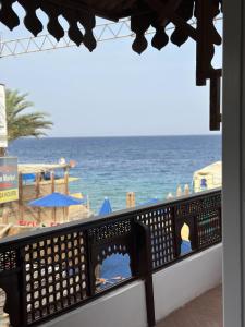 Fotografie z fotogalerie ubytování Ali Baba Hotel v destinaci Dahab + 97 fotografií