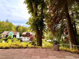 a group of trees with houses in the background at Traumferienwohnungen Georgenthal in Georgenthal
