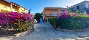 Здание апартаментов/квартиры