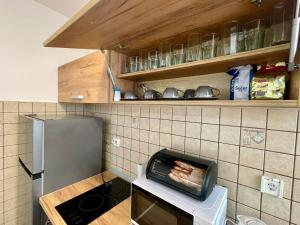 Kuchyň nebo kuchyňský kout v ubytování Apartment Rafailovici