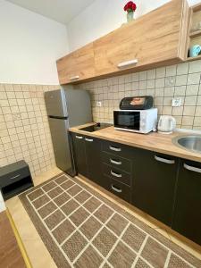 Kuchyň nebo kuchyňský kout v ubytování Apartment Rafailovici
