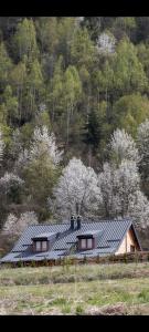 Příroda nedaleko apartmánu