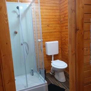 a bathroom with a toilet and a shower at Tiny House Ocnele Mari in Ocnele Mari