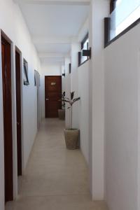 Fotografie z fotogalerie ubytování Hotel Mittoz Holbox v destinaci Ostrov Holbox
