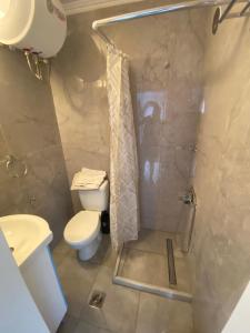 a small bathroom with a toilet and a shower at Vivaria House in Paleokastritsa