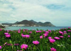 Fotografia z galérie ubytovania Ático solárium Costa de Almería, el sol que necesito v destinácii Almería