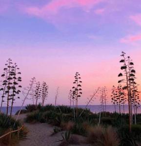 Fotografia z galérie ubytovania Ático solárium Costa de Almería, el sol que necesito v destinácii Almería