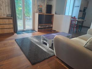 a living room with a couch and a tv at Sous les tilleuls in Saint-Brevin-les-Pins +9 photos