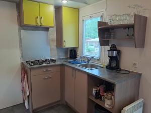 Kuchyň nebo kuchyňský kout v ubytování Mobile home