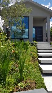 uma casa com escadas e plantas em frente em CASA ANJOS em Amarante