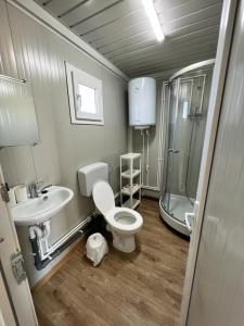 a bathroom with a toilet and a sink and a shower at La Corbu in Corbu