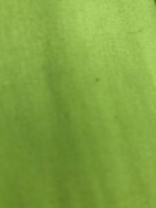 モリェット・ダル・バリェスにあるVillaverdeの緑の葉の背景のクローズアップ