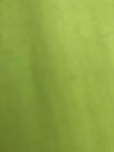 モリェット・ダル・バリェスにあるVillaverdeのぼやけた緑色の背景