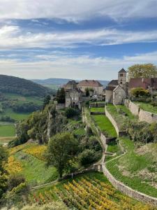 an estate on a hill with a vineyard at Tiny House Ti Nid 4 étoiles in Montain