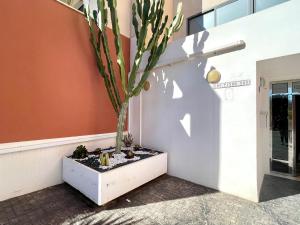 Zdjęcie z galerii obiektu Apartment near beach with pools in Spain w mieście Los Amarguillos