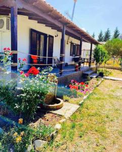 a house with a garden in front of it at Villa Alva in Sikia