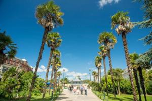 a group of palm trees on a sidewalk at On the Beach Retreat in Bournemouth