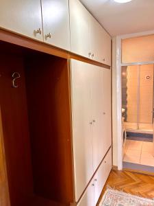 תמונה מהגלריה של A2 apartment Nis - 80 m2 - City center בניש