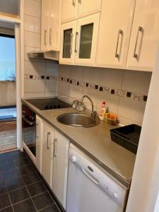 מטבח או מטבחון ב-A2 apartment Nis - 80 m2 - City center