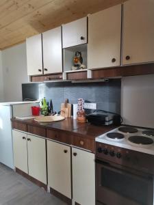 Dapur atau dapur kecil di Rudnički proplanak