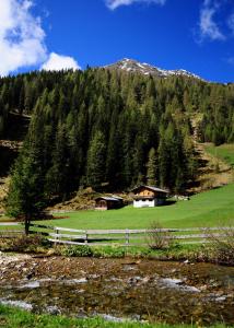 a house in a field with a fence and a mountain at Peintnerhof Almhütte in Innervillgraten