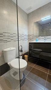 a bathroom with a toilet and a sink and a tub at Apartamentos La Florida in Casalarreina