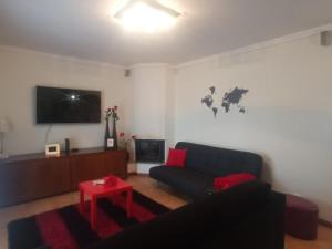a living room with a couch and a tv at Querido, Vamos de Férias! in Vagos
