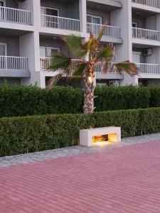 Billede fra billedgalleriet på بورتو مارينا دلتا لاجونز i Al Ḩammād