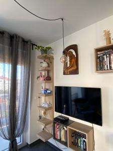 TV a/nebo společenská místnost v ubytování Apartments Bogic