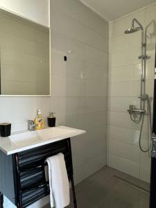 a bathroom with a sink and a shower with a mirror at M apartments in Sarajevo