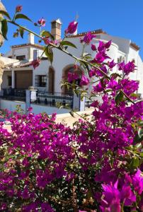 A garden outside La Torre Alba - La Finca Golf Resort