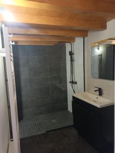 a bathroom with a shower and a sink at Chez David - Vacances sous les toits in Brioude +7 photos