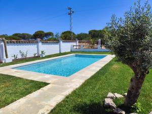 una piscina en un patio con un árbol en Hacienda la Yerbabuena, en Cádiz