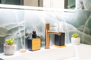 a bathroom sink with a soap dispenser and plants at Laskaris Luxury Apartment in Kalamata +34 photos