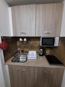 a kitchen counter with a sink and a microwave at Viccinella House in Capranica