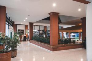 Vstupní hala nebo recepce v ubytování Hotel & Suites Villa del Sol + 37 fotografií