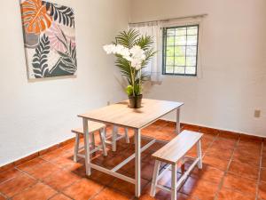 a table and chairs with a potted plant on it at Ganesha House in Tepoztlán