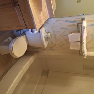a bathroom with a toilet with graffiti on the wall at MacThrift Motor Inn in Virginia Beach +21 photos