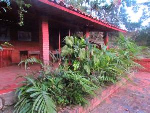 Zahrada ubytování Finca El Paraíso